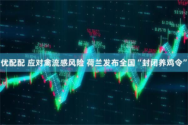 优配配 应对禽流感风险 荷兰发布全国“封闭养鸡令”