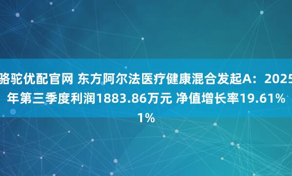 骆驼优配官网 东方阿尔法医疗健康混合发起A：2025年第三季度利润1883.86万元 净值增长率19.61%