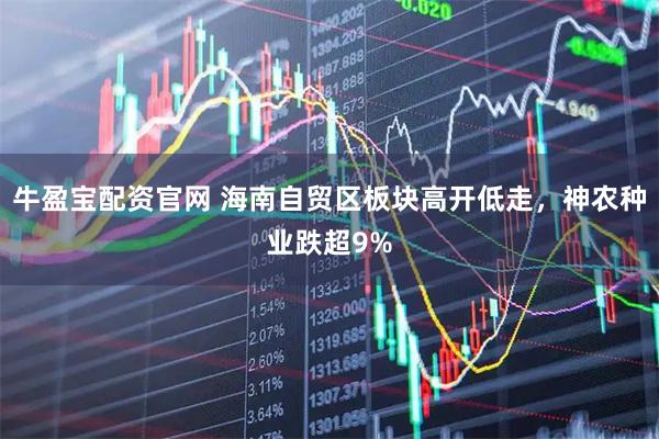 牛盈宝配资官网 海南自贸区板块高开低走，神农种业跌超9%